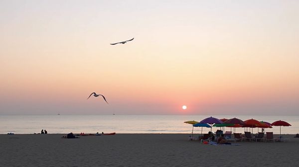 Vacances à Wimereux : l'étoile de mer pour un séjour relaxant