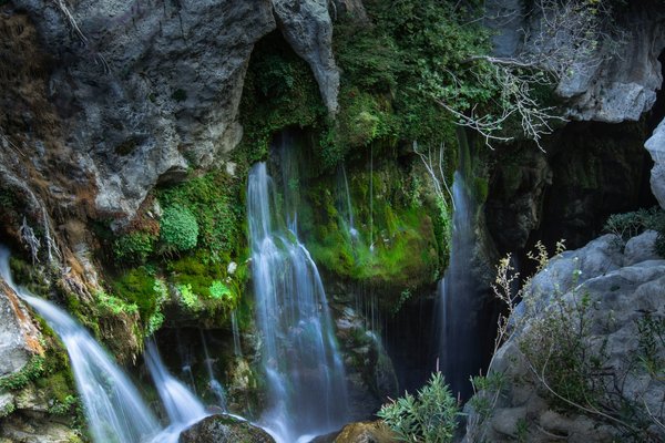 Quels sont les conseils pour une croisière sur le fleuve Amazone, Brésil ?