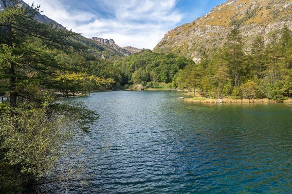 Découvrez le camping lac du bourget : un refuge naturel pour tous